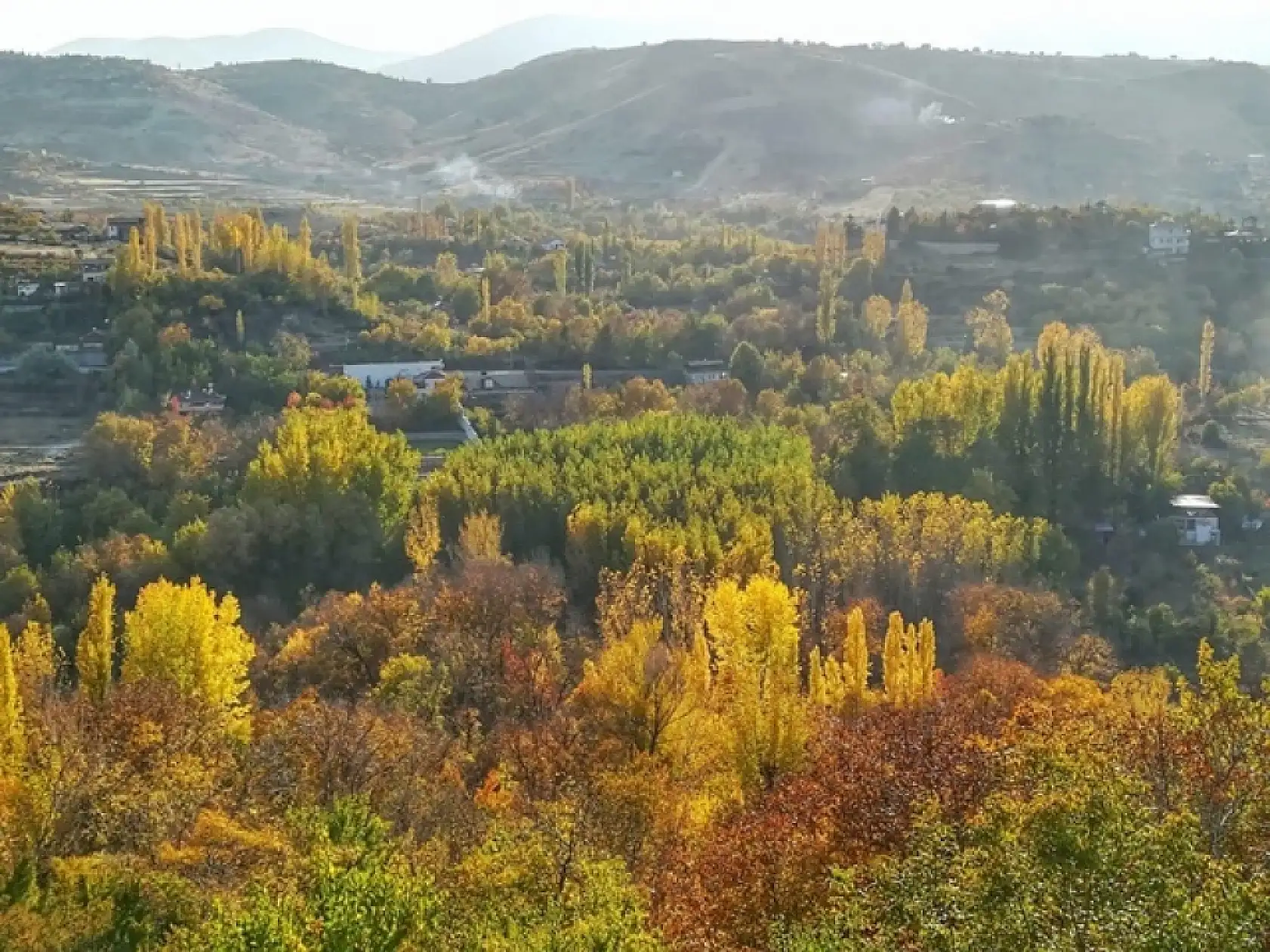 Sonbahar'dan Kareler