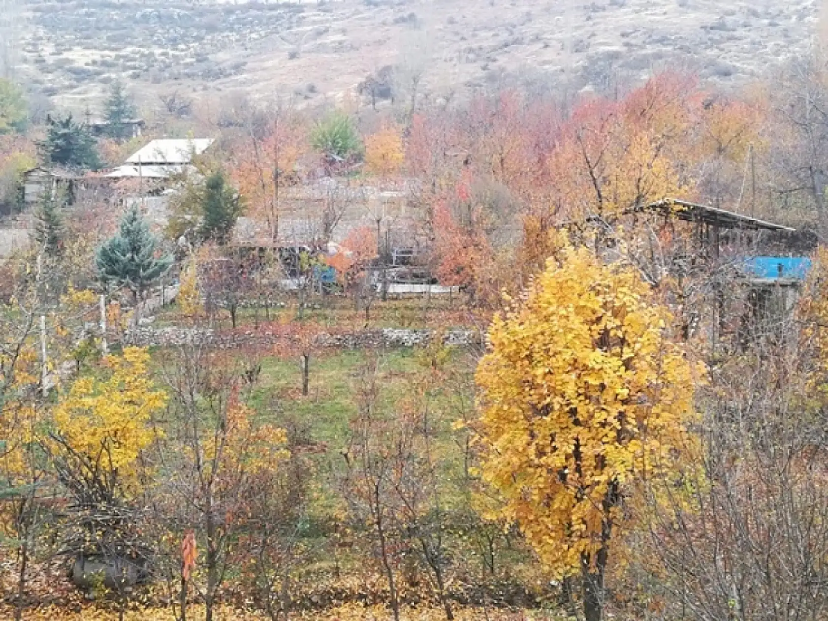 Sonbahar'dan Kareler