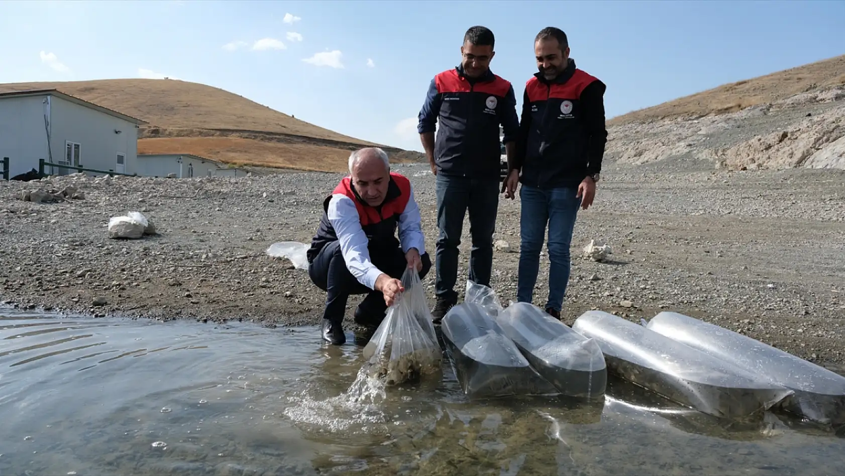 Malatya'da baraj ve göletlere 2,2 milyon sazan yavrusu bırakıldı