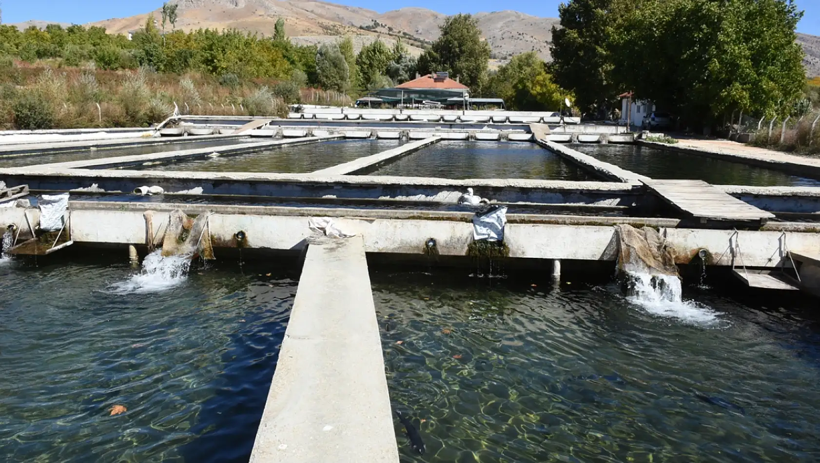 Malatya'da Alabalık Üreticilerine Deprem Sonrası Devlet Desteği