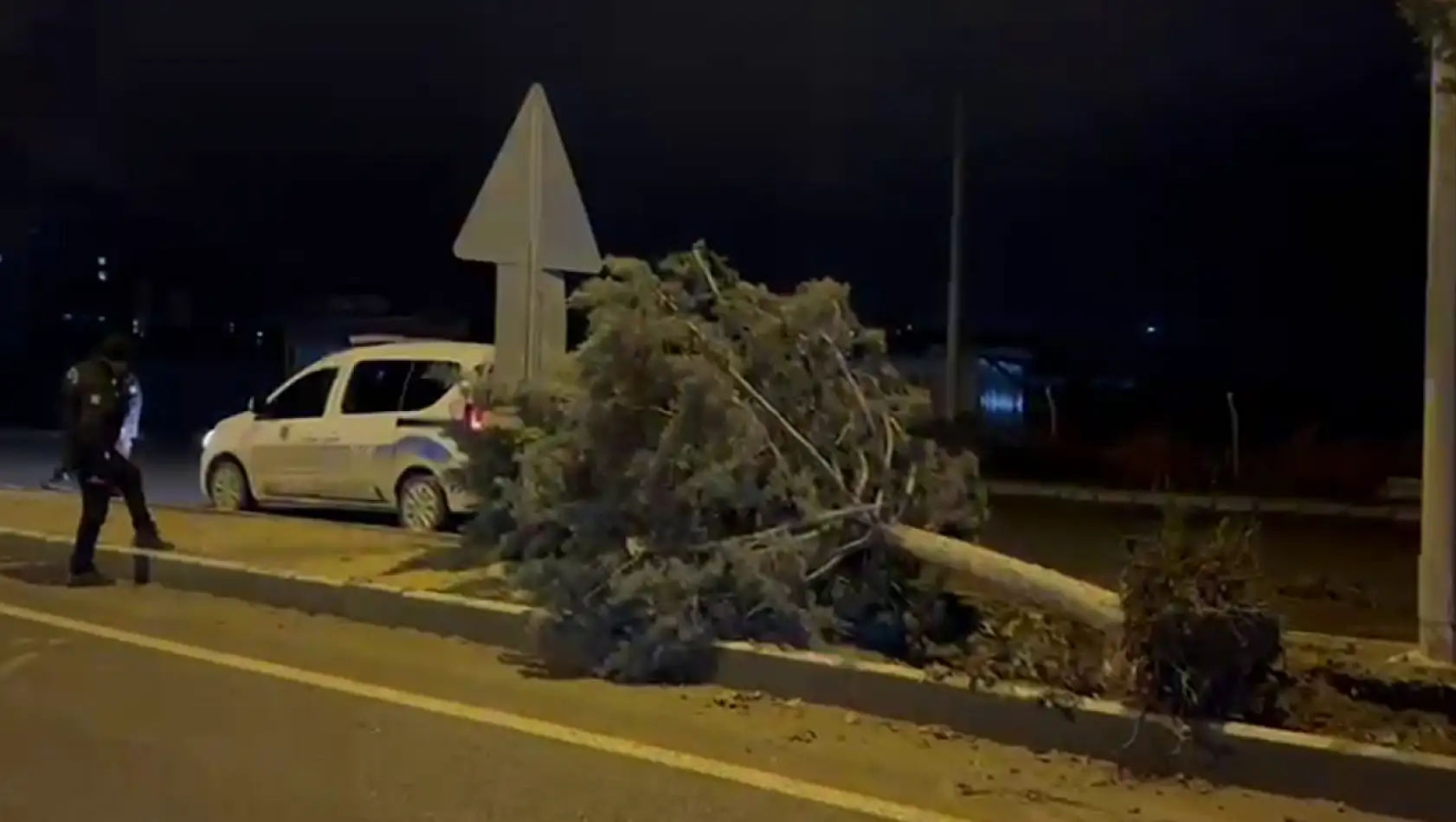 Malatya'da fırtına ağaçları kökünden söktü