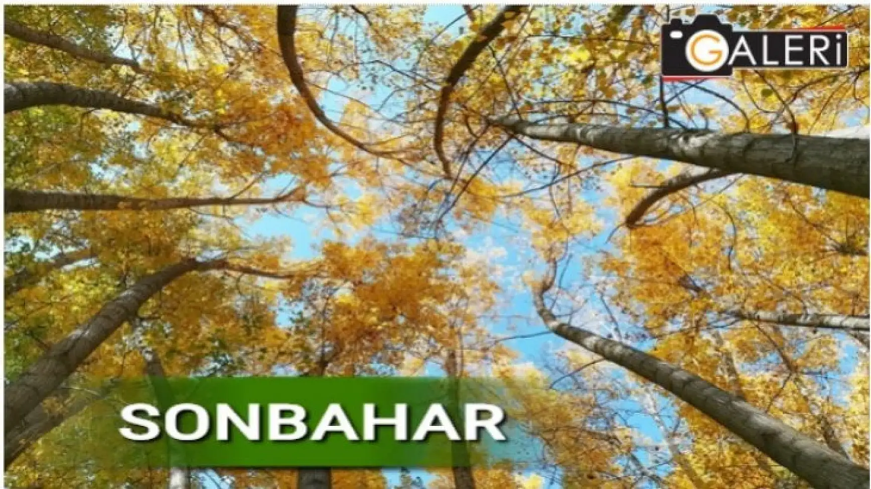 Sonbahar'dan Kareler