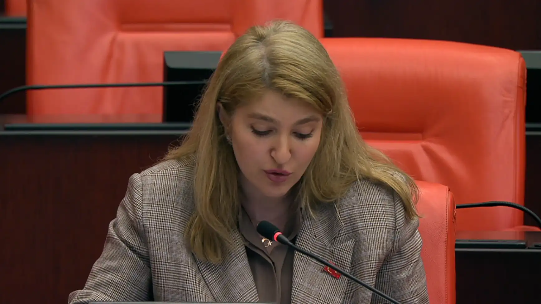 Milletvekili Ölmeztoprak Malatyalı Üreticilerin Sorunlarını TBMM’de Gündeme Taşıdı