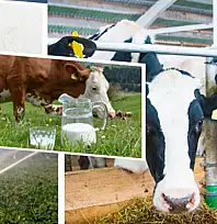 Tarımda Büyük Ödeme: Kim Ne Kadar Alacak?