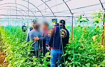 7 Yıllık Cinayet Firarisi Sera Bahçesinde Yakalandı