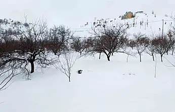 Akçadağ'da kar kalınlığı 1 metreye yaklaştı