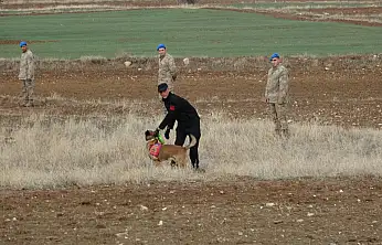 Başsız Ceset Olayında Kritik Kamera Kaydı Ortaya Çıktı!
