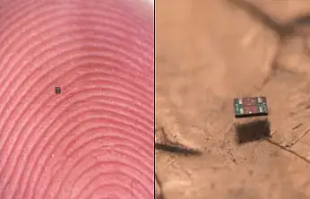 Bilim İnsanları Başardı: Tuz Tanesi Kadar Otonom Robot