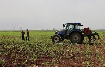 Çiftçi Kayıt Sistemi başvuruları 31 Aralık'ta sona erecek