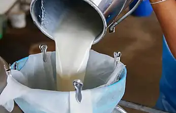 Çiğ süt tavsiye fiyatı belirlendi