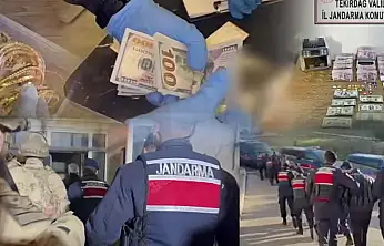 Dolandırıcılık ve Tefecilik Şebekeleri Çökertildi