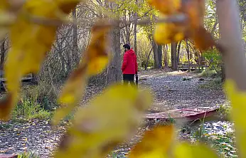 Güneşli ve sıcak bir hafta sonu geliyor!