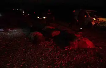 Hafif ticari araç sürüye daldı, 10'dan fazla koyun telef oldu