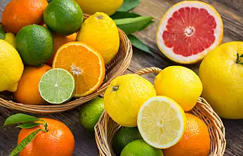 İklim Krizi Ege Narenciyesini Yerle Bir Etti Çözüm Ne?