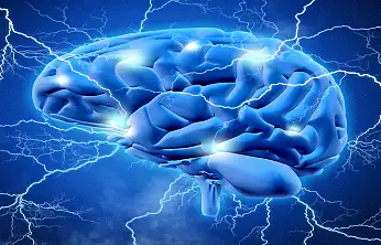 ingapur'dan beyin yaşlanmasına karşı yeni keşif