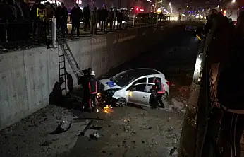 Kontrolden çıkan otomobil sulama kanalına düştü: 1 yaralı