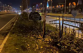 Köpeğe çarpmamak için manevra yapan sürücü refüje çıktı