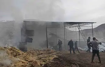 Malatya'da besi çiftliğinde yangın