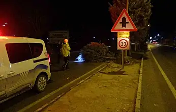 Malatya'da fırtına ağaçları kökünden söktü