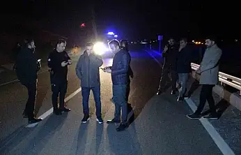 Yarış Atları Karayolunu Bastı! 6 At Telef Oldu 2 Kişi Yaralandı