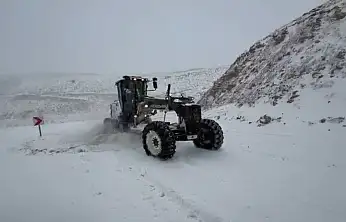Malatya'da Kar Rekoru Kırıldı: Arapgir 45 Santimetreyle Zirvede