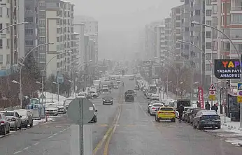 Malatya'da kar ve sis etkili oluyor