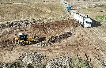 Malatya'da şeker pancarında yüksek verim çiftçinin yüzünü güldürdü