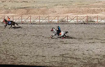 Malatya'nın Yazıhan ilçesinde ata sporu atlı cirit yaşatılıyor