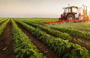 Maliyetler Çiftçiyi Zorluyor