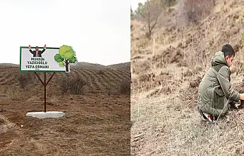 Muhsin Yazıcıoğlu'nun Adı Yeni Ormanda Yaşayacak