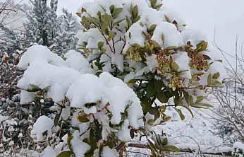 Pütürge'de kartpostallık görüntüler