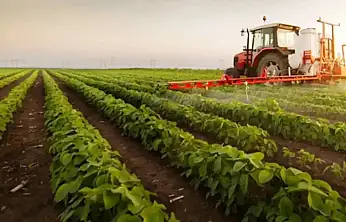 Tarım Üretici Fiyatları Aralık'ta Neden Arttı?