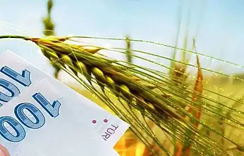 Tarımsal Destek Ödemeleri Dağıtılıyor! Kim, Ne Kadar Alacak?