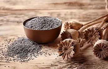 TMO mavi renkli haşhaş tohumunun satışına başladı