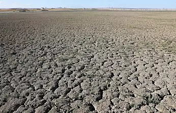 Türkiye'de İçme Suyu Alarm Veriyor: İşte Tehlikenin Boyutu