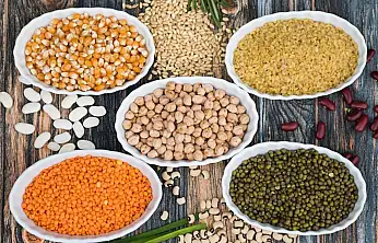 Türkiye'nin hububat ve bakliyat ihracatı 10 milyar doları geçti