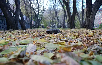 Ülke genelinde yağış beklenmiyor