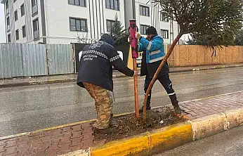 Yeşil alanlarda mevsimlik bakım ve güçlendirme seferberliği