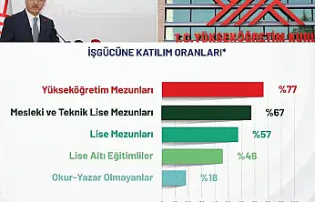 Yükseköğretim mezunları işgücüne katılımda ilk sırada