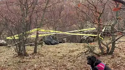 Kayıp genç ölü bulundu