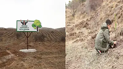 Muhsin Yazıcıoğlu'nun Adı Yeni Ormanda Yaşayacak