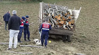 Traktör Devrildi 1 Ölü 1 Yaralı