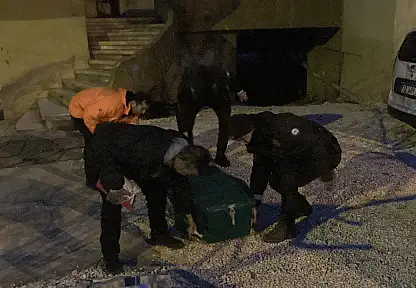 Polis kavga ihbarına gitti, banyoda cesetle karşılaştı: 3 gözaltı