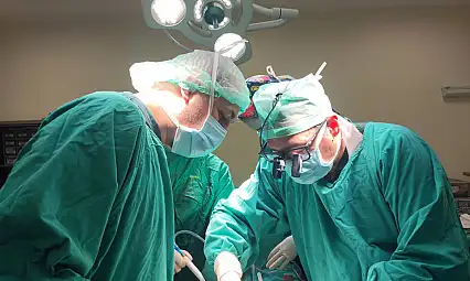 11 Ayda 149'u Çapraz 308 Karaciğer Nakli Gerçekleştirildi