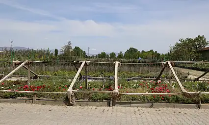 Battalgazi'nin Park e Bahçeleri Kendi Ürettiği Çiçeklerle Güzelleşiyor
