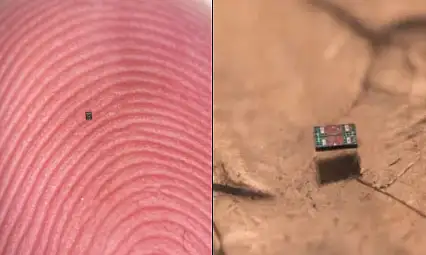 Bilim İnsanları Başardı: Tuz Tanesi Kadar Otonom Robot