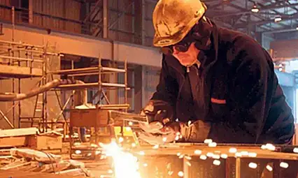 Ekim Sanayi Verileri Açıklandı: Hangi Sektör Öne Çıktı?