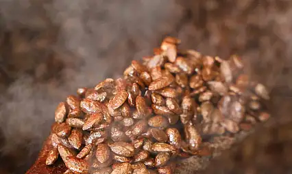 Gelenekten yeniliğe: Türk kahveli badem şekeri