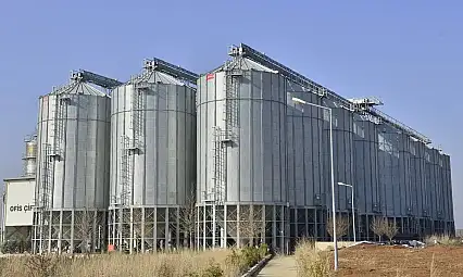 Hububat ve Mısır Alım Paraları Hesaplara Yattı