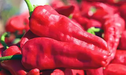 Maraş Biberi İhracatta Zirveye Mi Koşuyor? İşte Detaylar